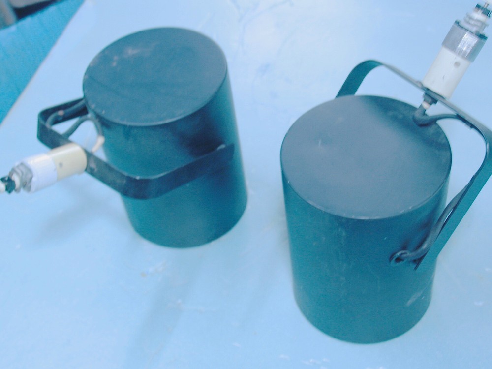 Two Cylinder Track Lights with/out switch