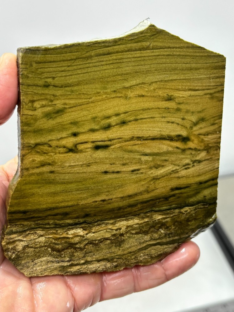 Lizard Skin Jasper slab for Cabbing Lapidary Combo Ship Avail
