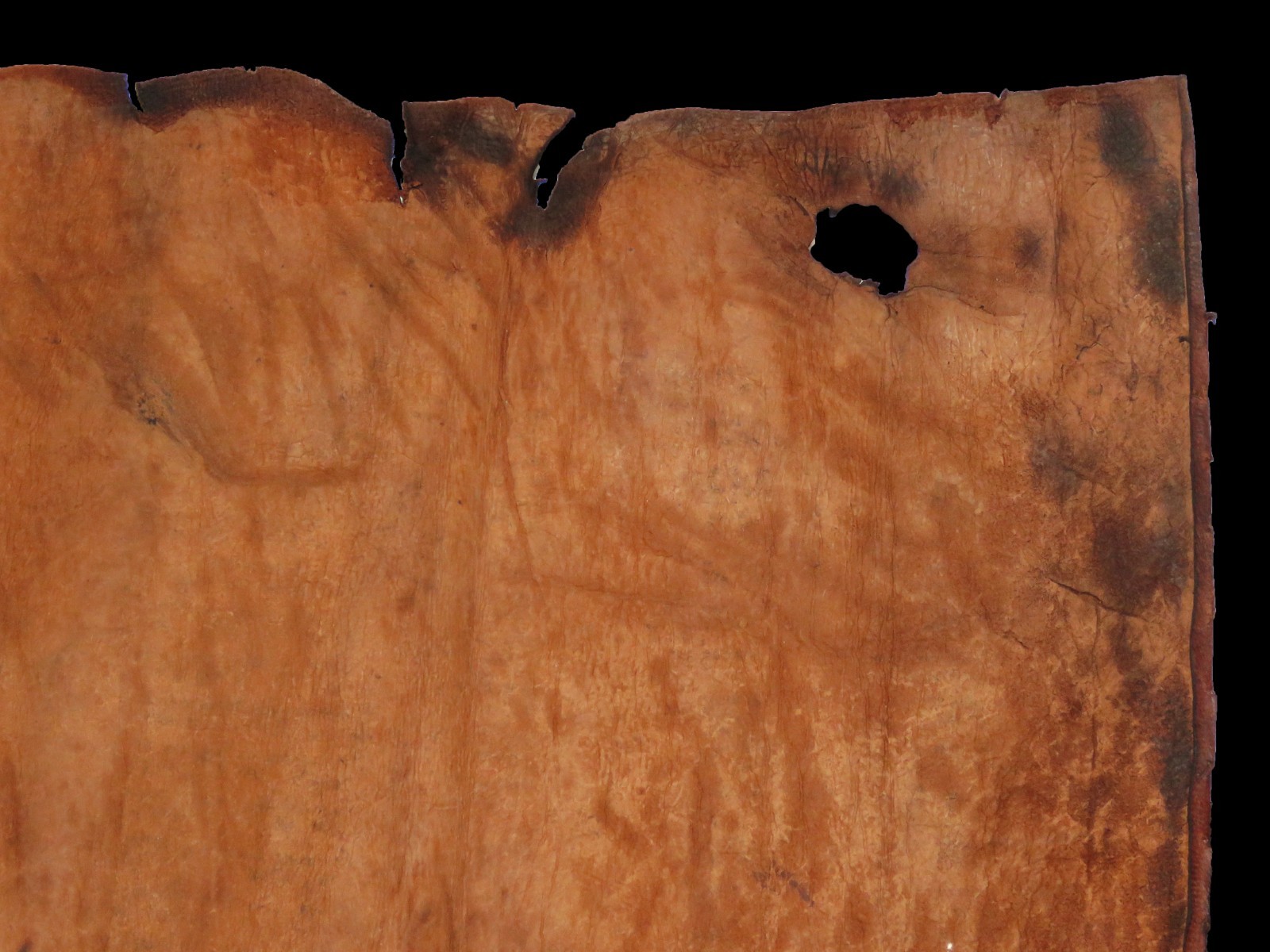 TORAH SCROLL BIBLE VELLUM MANUSCRIPT FRAGMENT 300 YRS YEMEN "THE GREAT FLOOD"