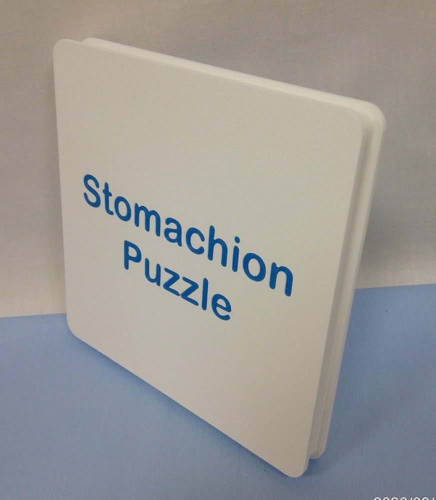 3-D Printed Stomachion Puzzle