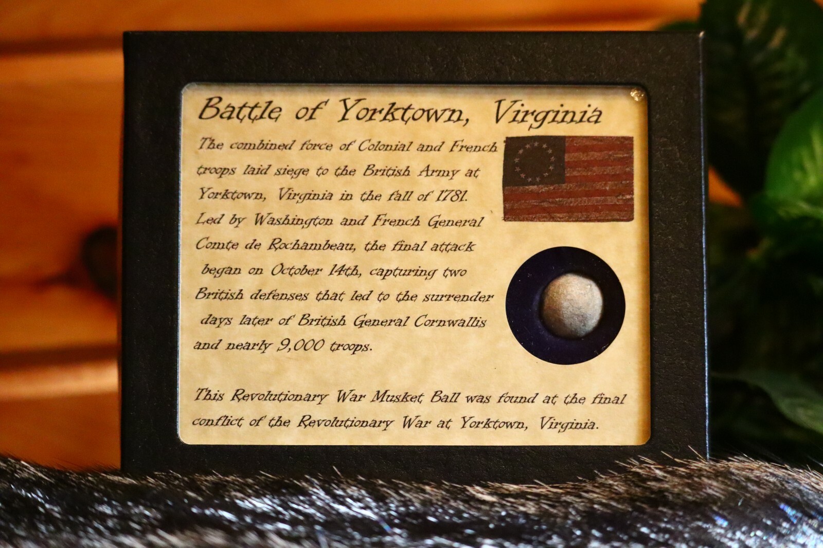 Authentic Revolutionary War Bullet from Yorktown, VA in Display Case with COA