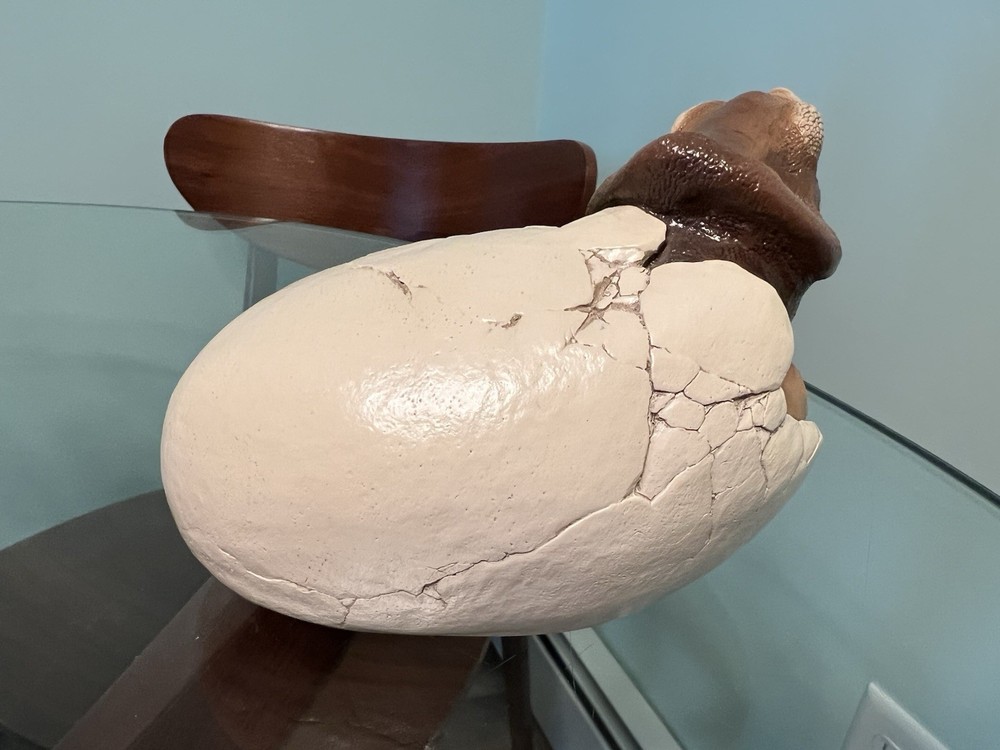 Windstone Editions Hatching Dinosaur Egg Figurine