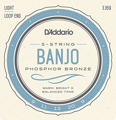 D'Addario EJ69 5-String Banjo Strings, Phosphor Bronze, Light, 9-20