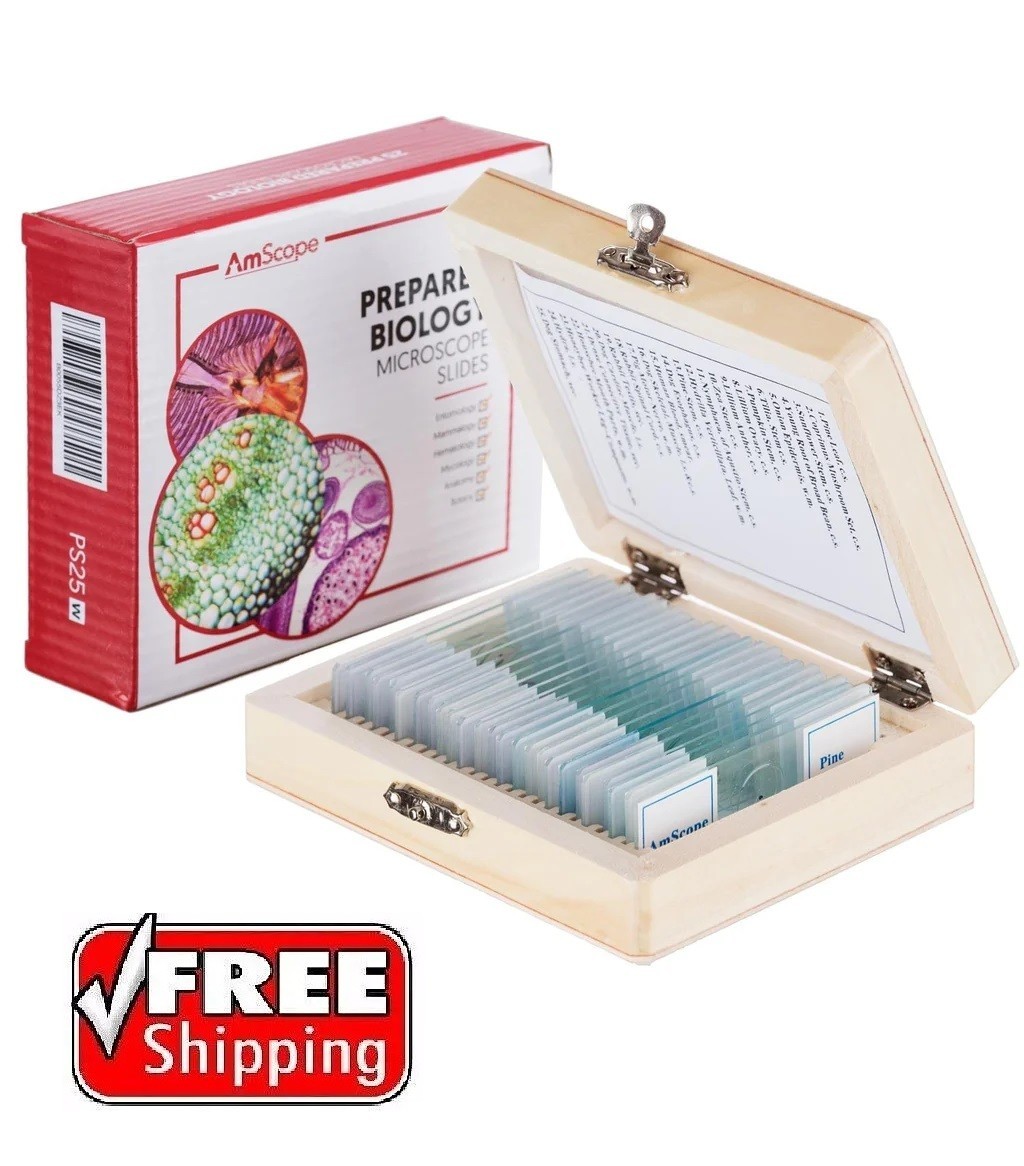 AmScope Prepared Microscope Slide Set for Basic Biological NEW SEALED SHIPS FREE