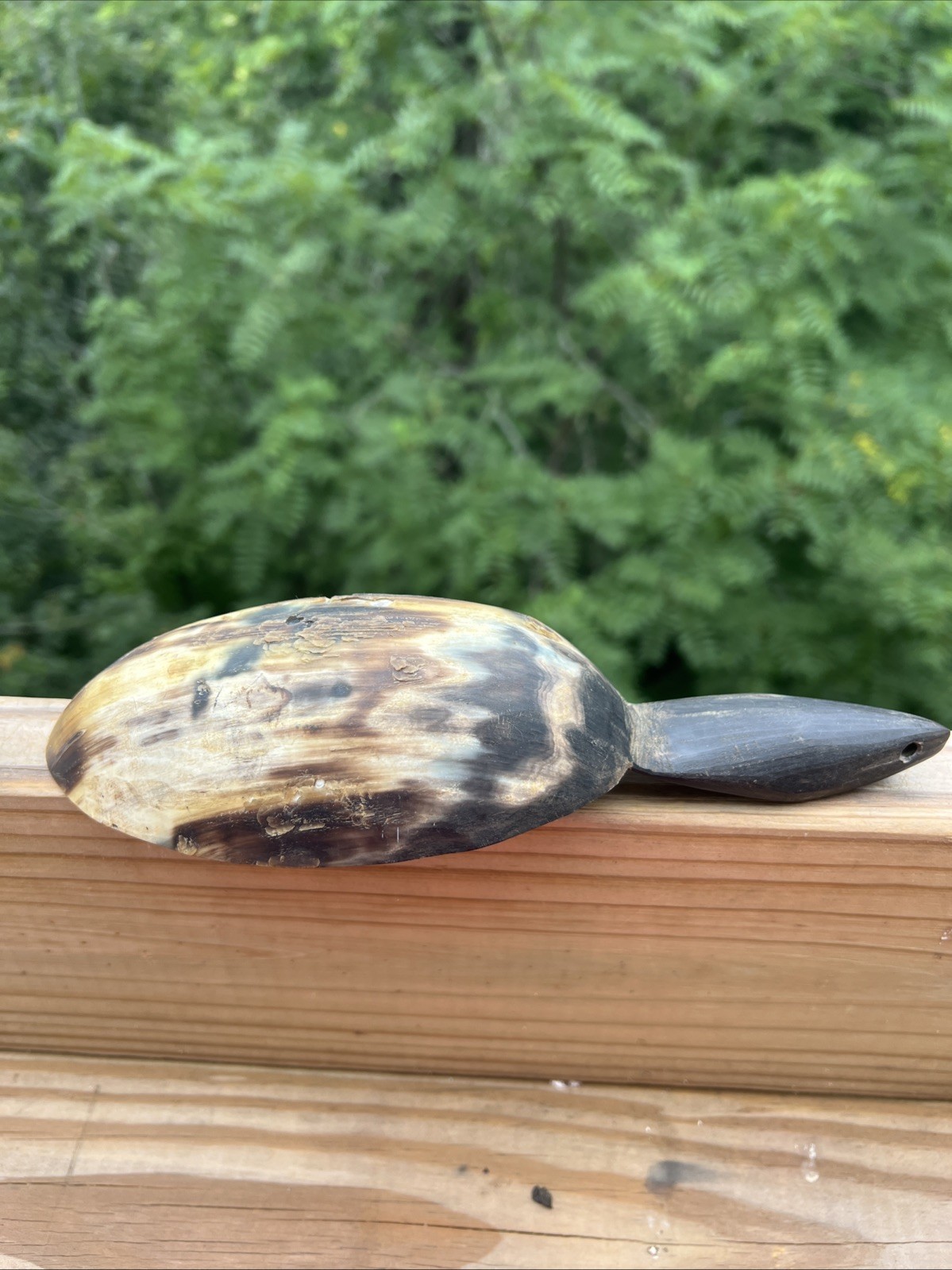 Original Native American Indian Hand carved Goat Horn Spoon; Late 19th Cent.