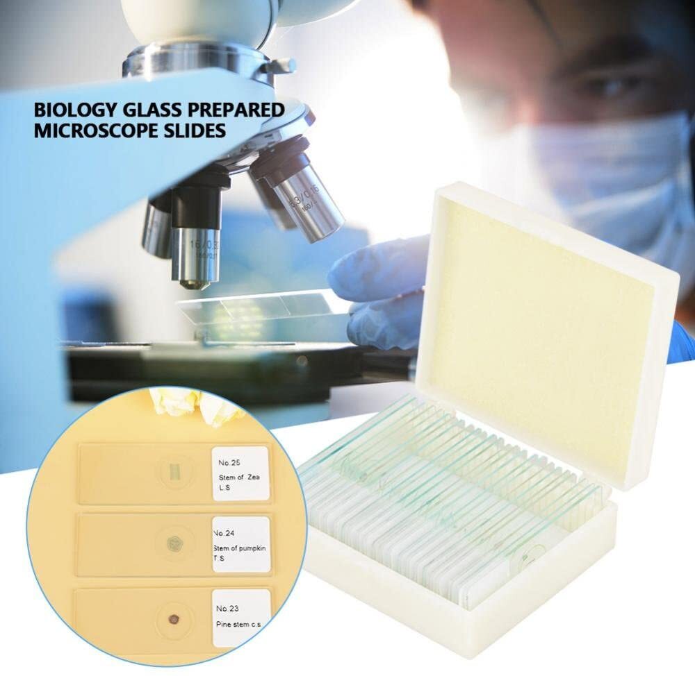 25PCS Microscope Slides Prepared Glass f Student Education Biological Microscope