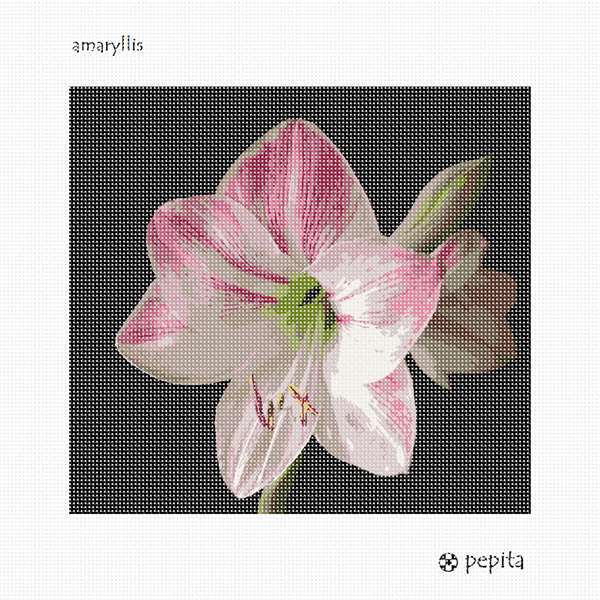 Amaryllis  Needlepoint Kit or Canvas