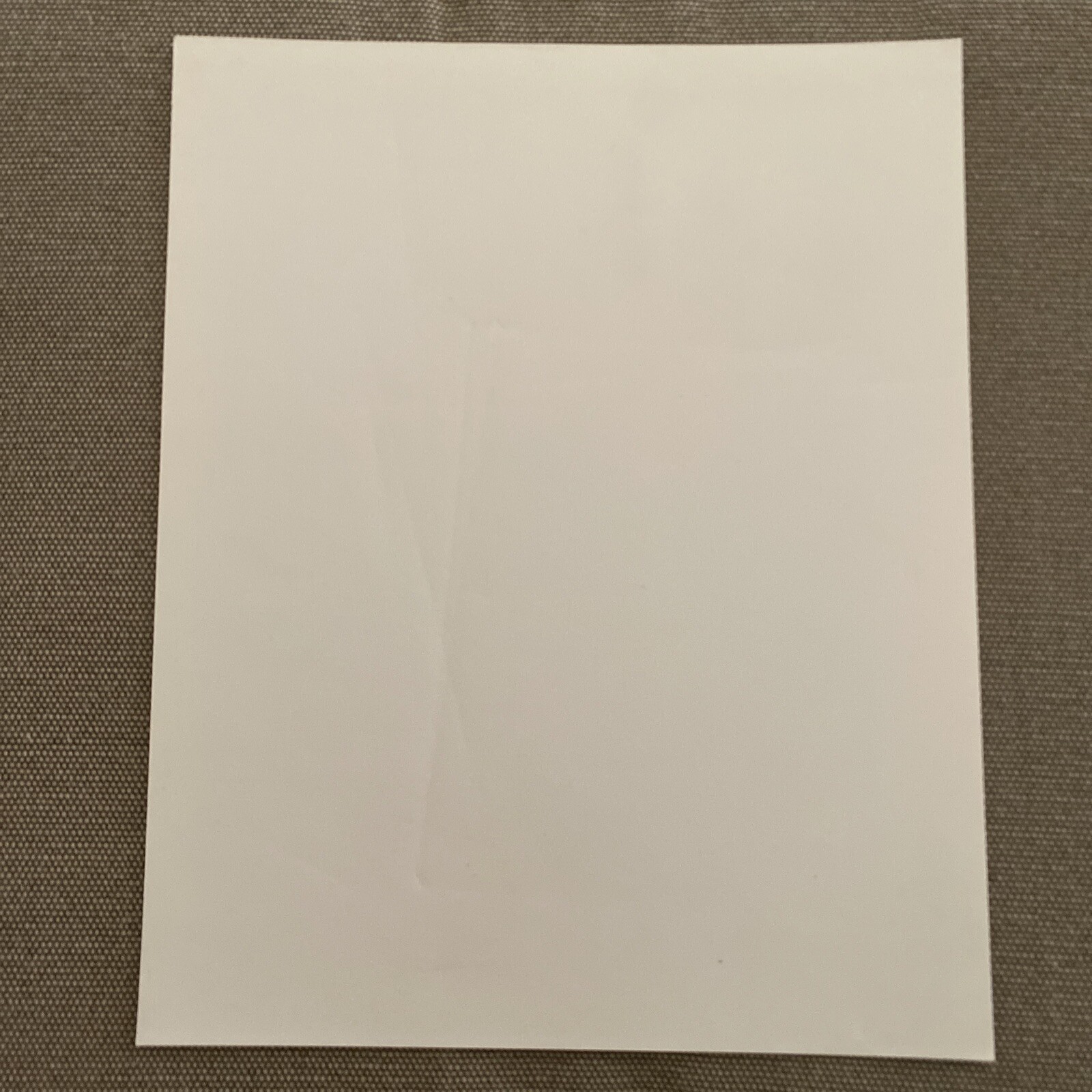 Van Morrison Press Photo 8x10”, See Description.