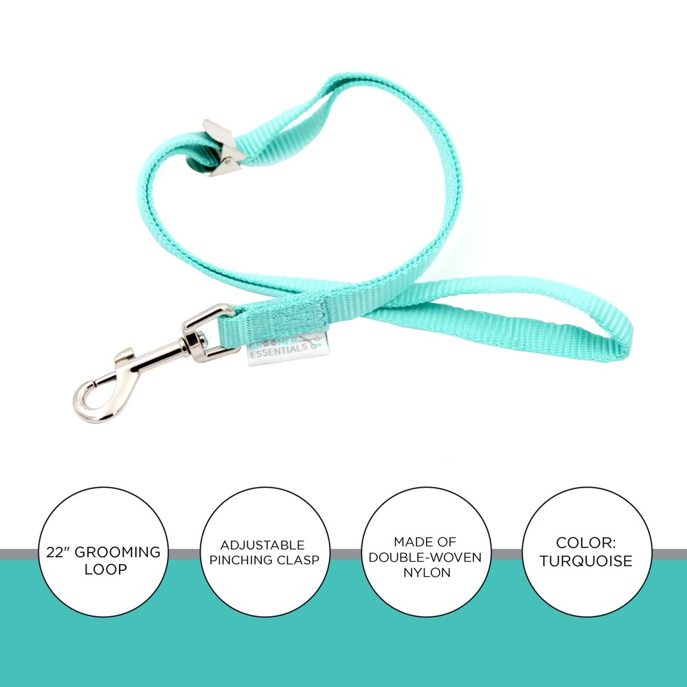 Groomer Essentials 17" Grooming Loops - Turquoise