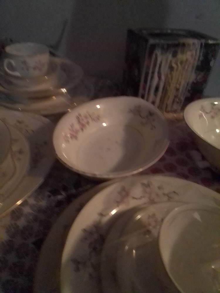 Vintage Eggshell Nautilus