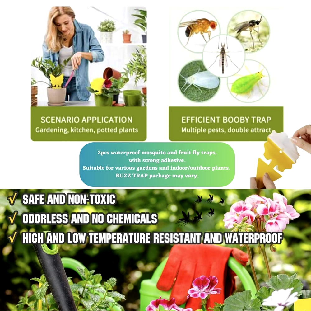 Flying Insect Trap, Indoor Fly Trap, Fruit Fly Traps (1 Device + 13 Refills)
