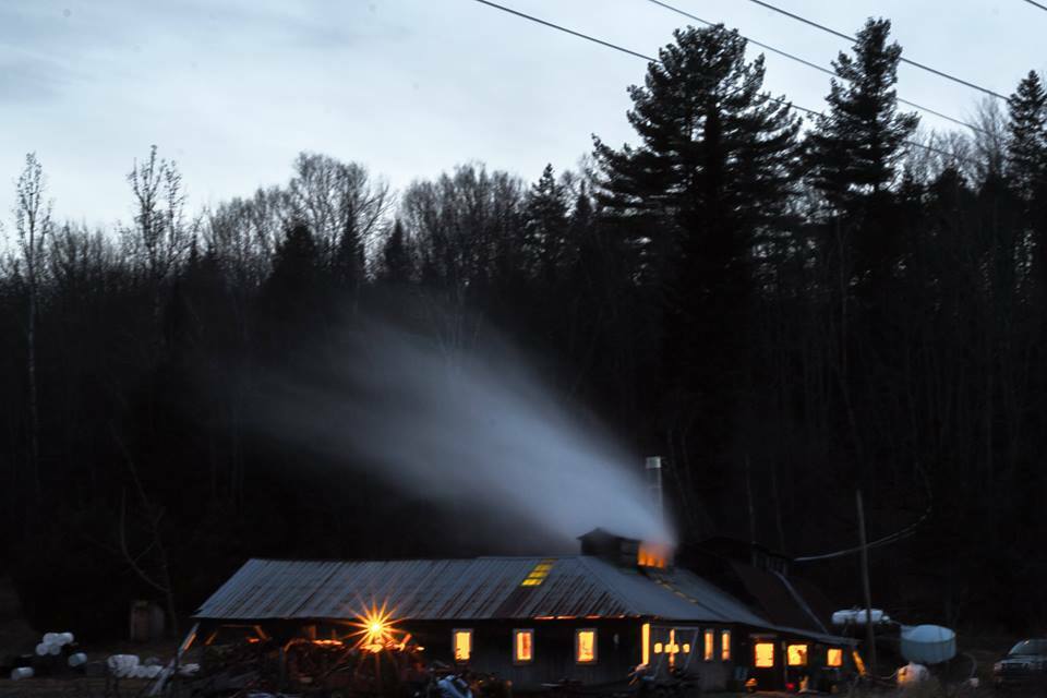 (1) half gallon glass jug of Pure Vt. "Organic" Maple syrup Golden, Amber, Dark