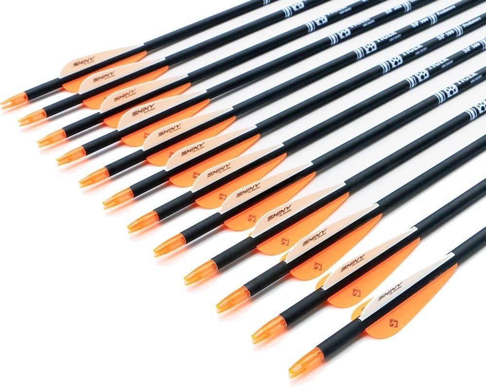 12 Pack 30" Carbon Arrows for Hunting & Target Practice