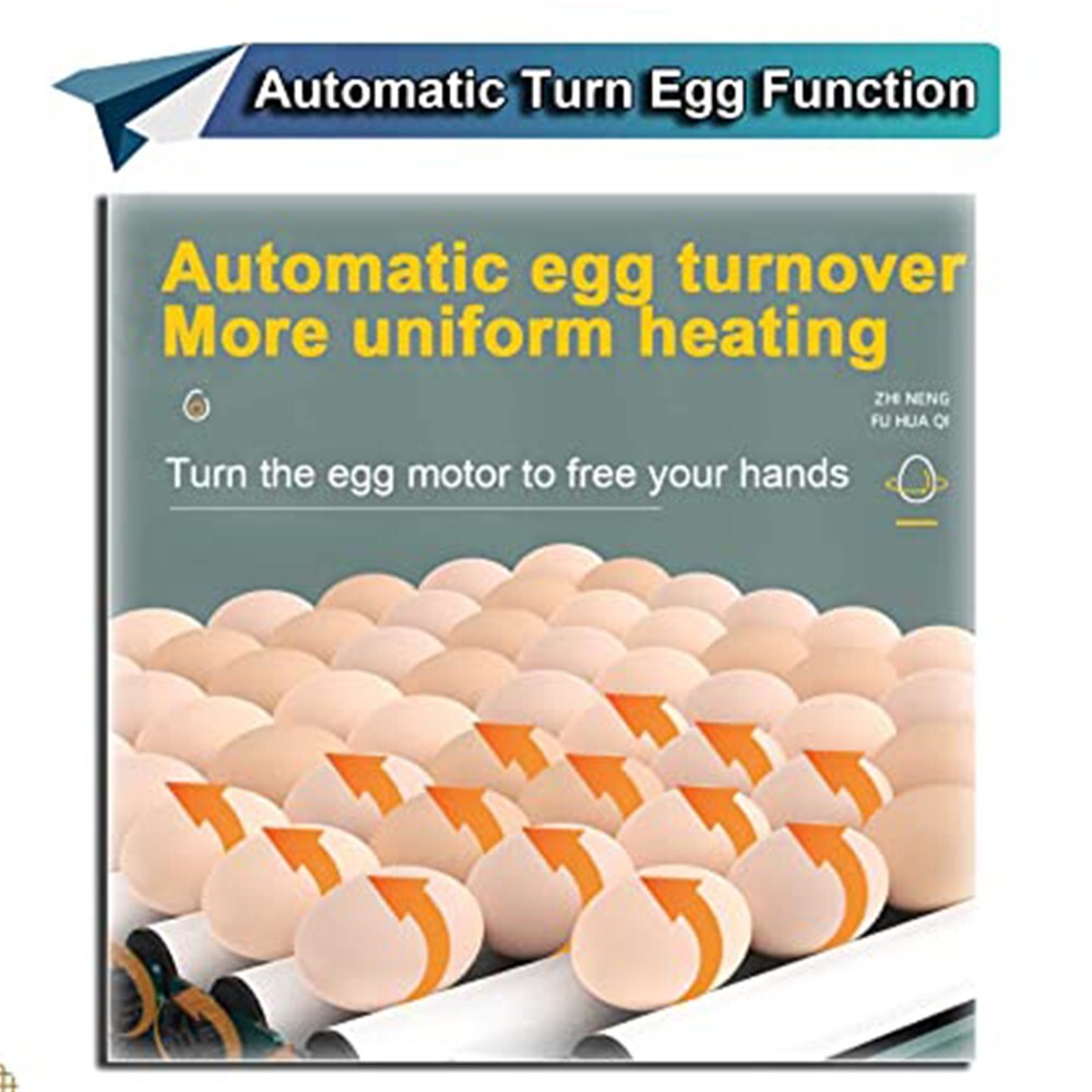 15 Eggs Incubator Fully Automatic Turning Temperature Control Egg Lamp Chic Bird
