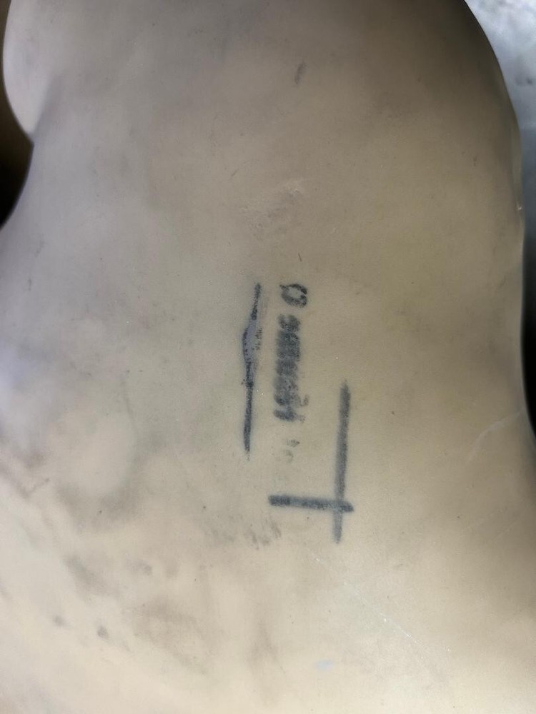 Half-Body Manikin For Suture Training