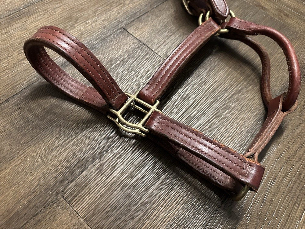 Horse Tack - Leather Track Halter