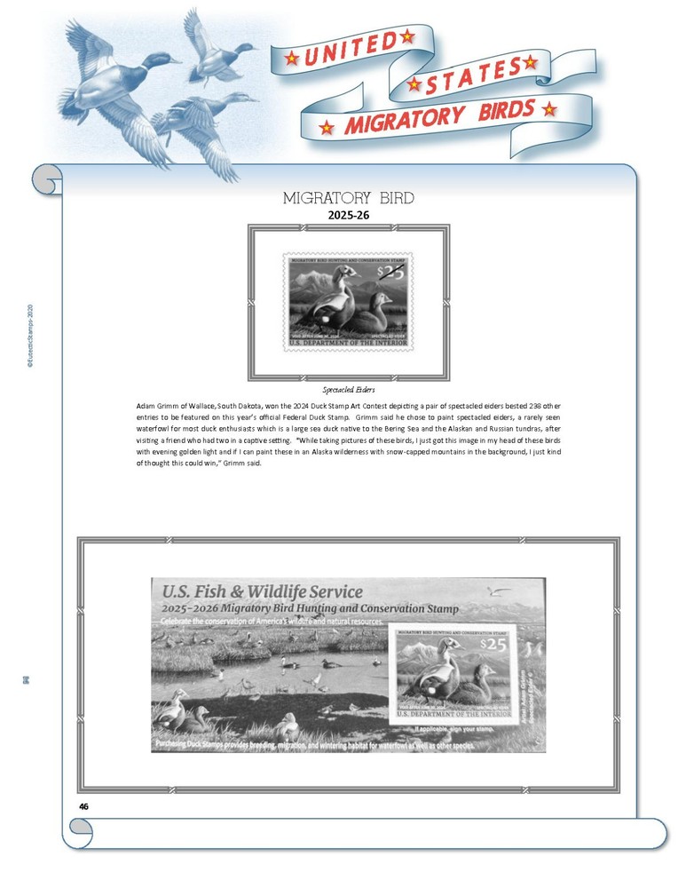 U.S. Federal Duck Stamp Supplement 2025 (NO JR.)  (White Ace Alternative)