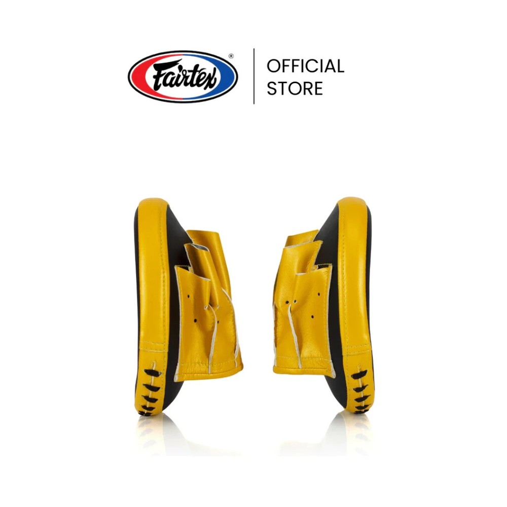 Fairtex Training Boxing Pad FMV15