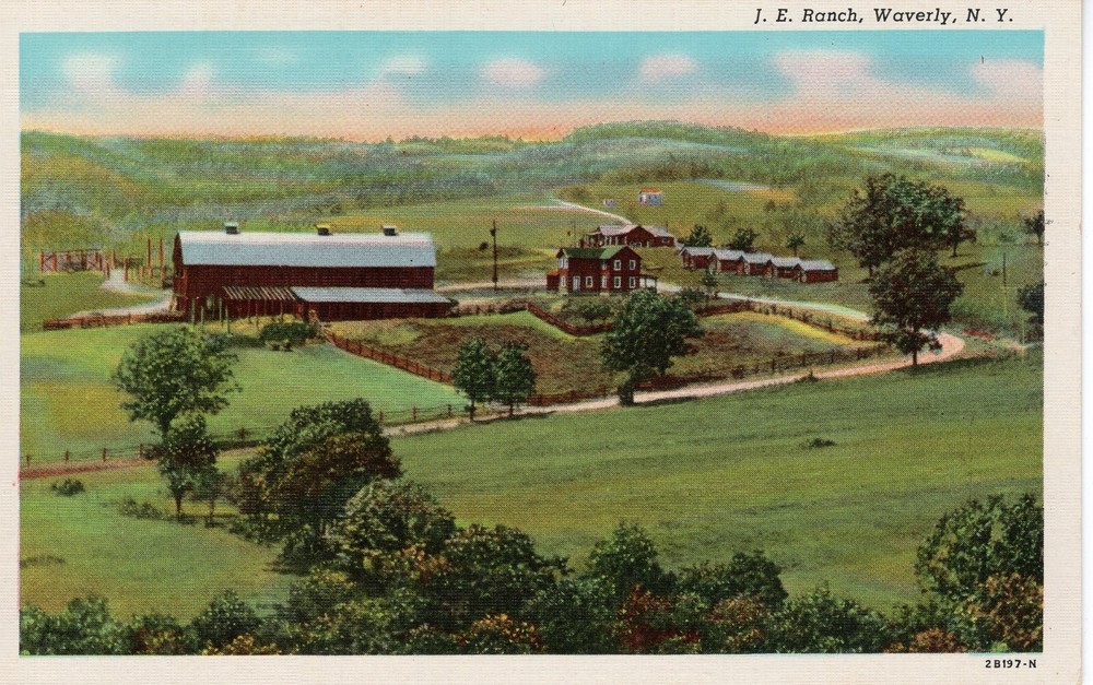 J. E. RANCH, WAVERLY, NY - PC1984