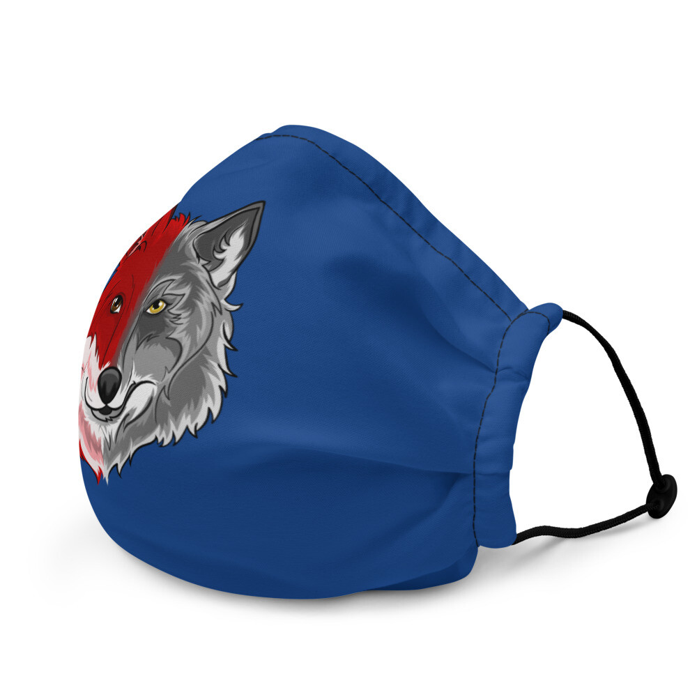 Blaue Maske TheEeFoXx