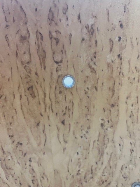 Sonor Lite 5PC Shell Pack (White) (All Serial Numbers / Sizes In Description)