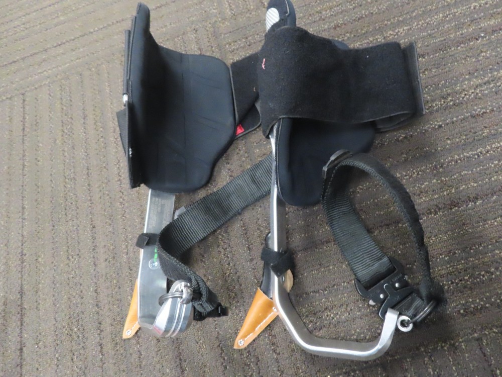 Notch Gecko - Tree Spikes -