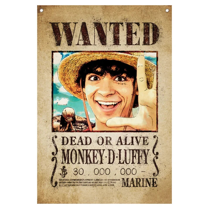 One Piece Limited Edition Wall Banner Luffy Wanted 120 x 85 cm