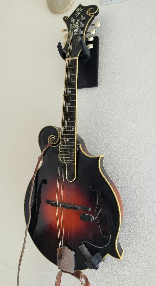 The Loar flat mandolin