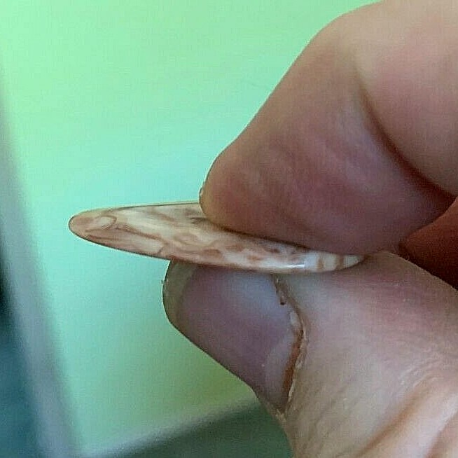 Custom House Guitar picks polyresin/nylon 6 Packs