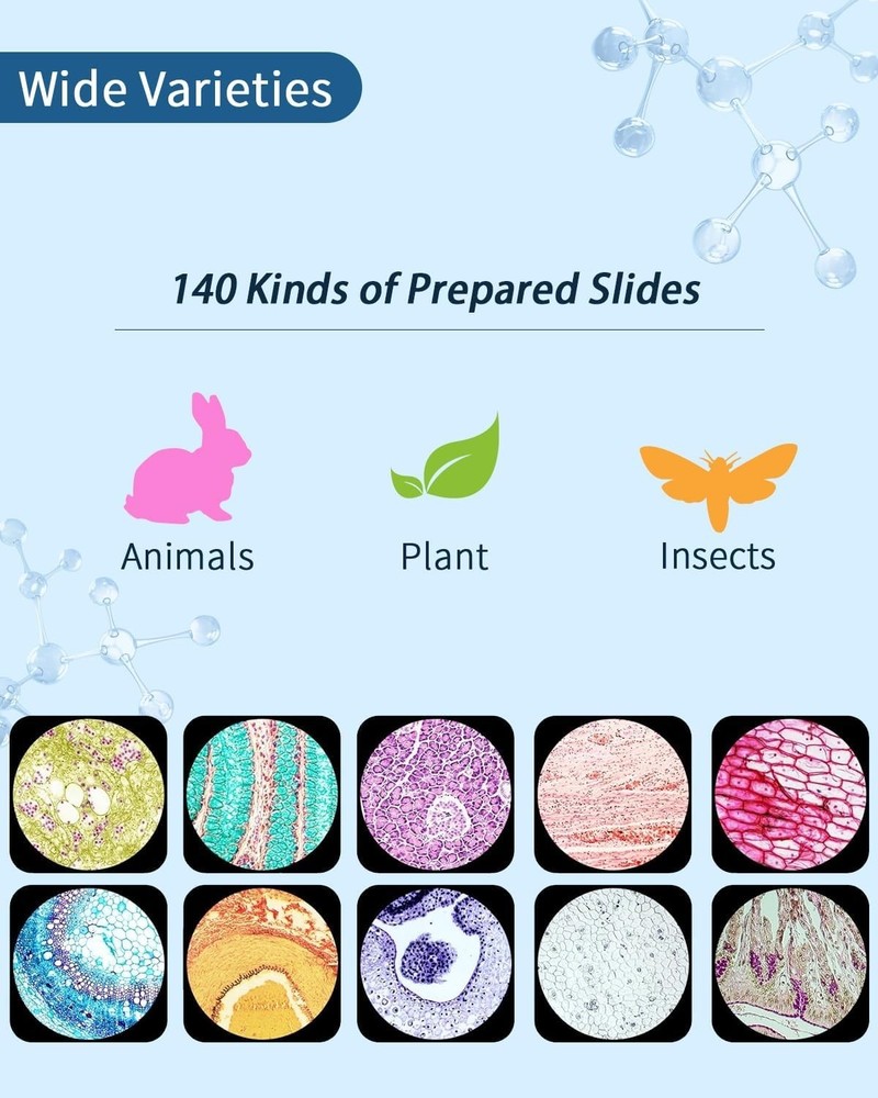 140-Pc Educational Microscope Slide Set - Safe Specimens for Young Scientists