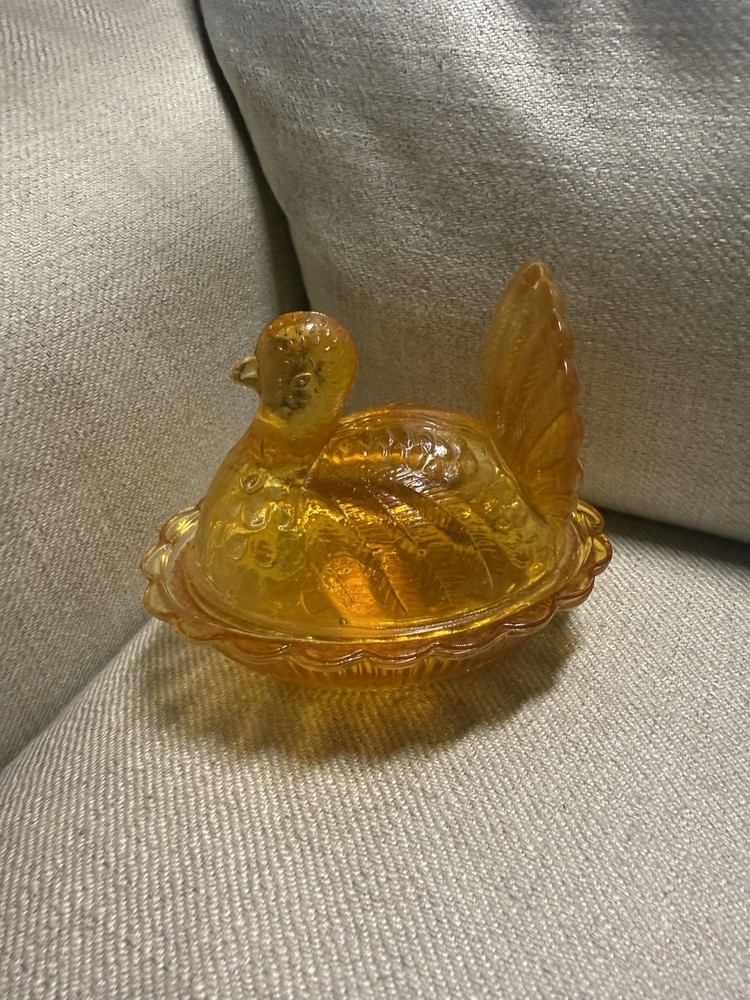 Small Turkey Hen On Nest