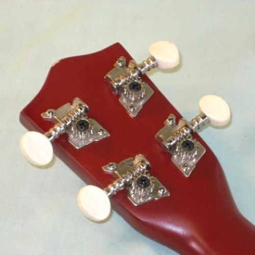 UKULELE iECO Beginner's Model 4-String w/ Case and Electronic Tuner