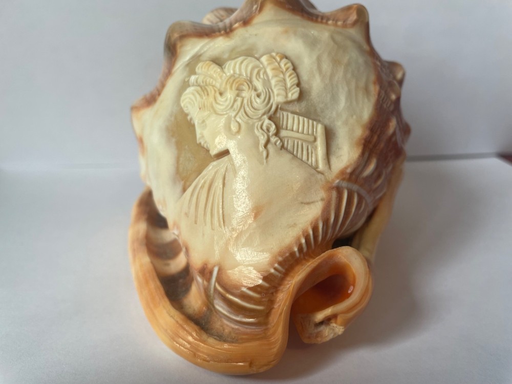 Scrimshaw shell cameo