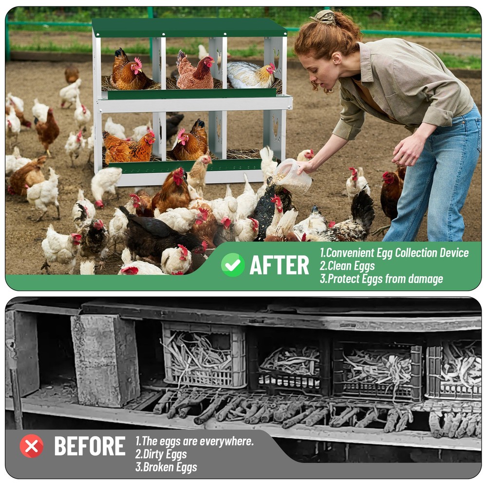 6 Holes Chicken Nesting Box, Metal Chicken Nesting Boxes, without Bracket Legs