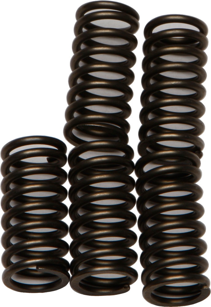 EBC Clutch Spring Set CSK179