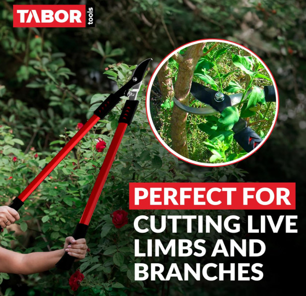 TABOR TOOLS GL16A Bypass Lopper, Chops Branches with Ease, Classic 28 Inch Tree