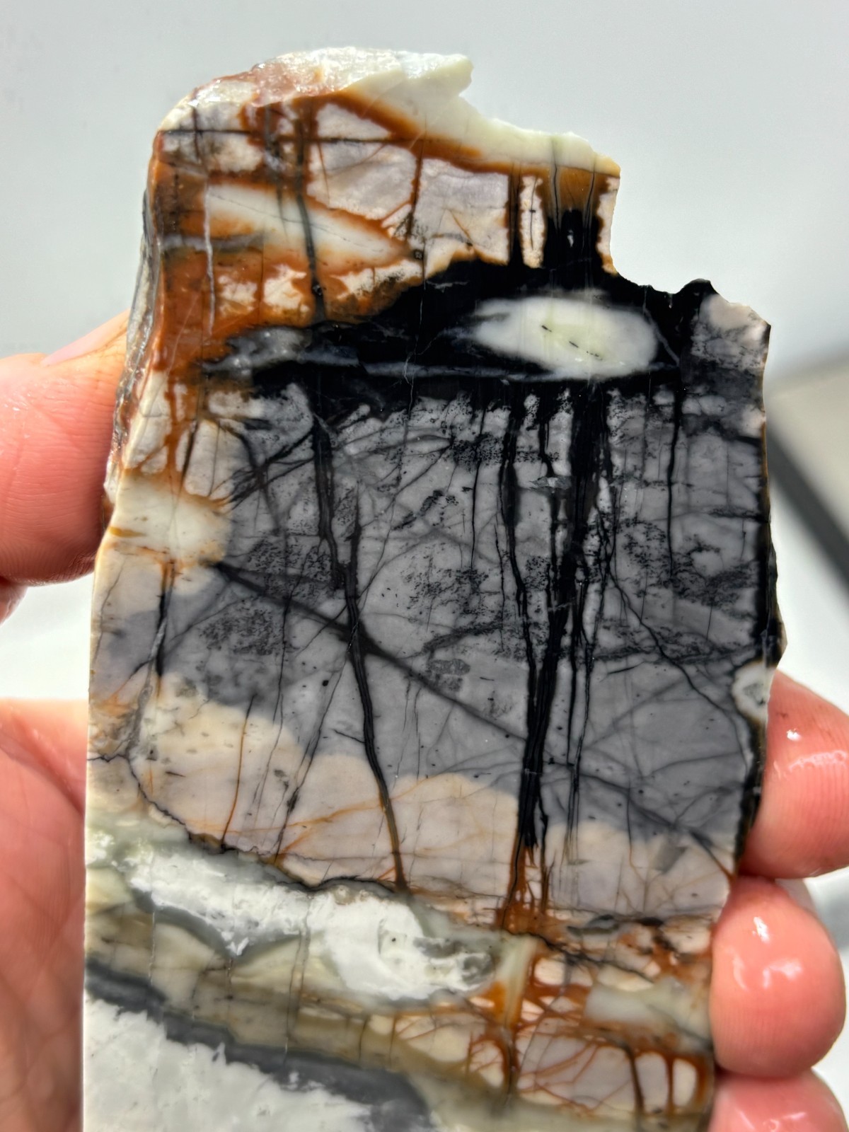 Picasso Marble (Jasper) end Slab Cabbing Lapidary Utah Combo Ship Avail