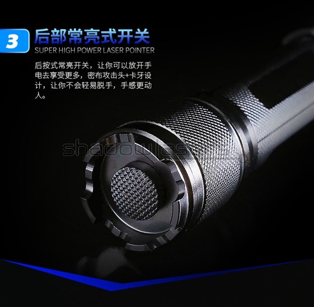 Adjustable Focus 520nm Laser Pointer Flashlight Visidle Beam Laser+Case US