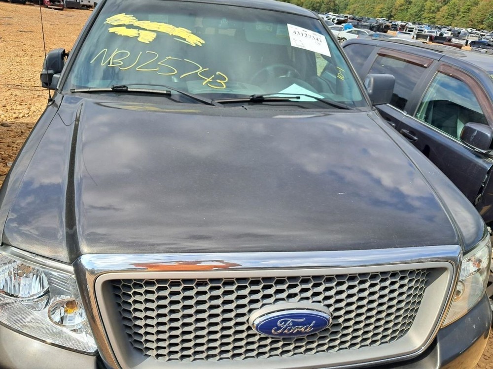 F150 2006 Glove Box 4821964