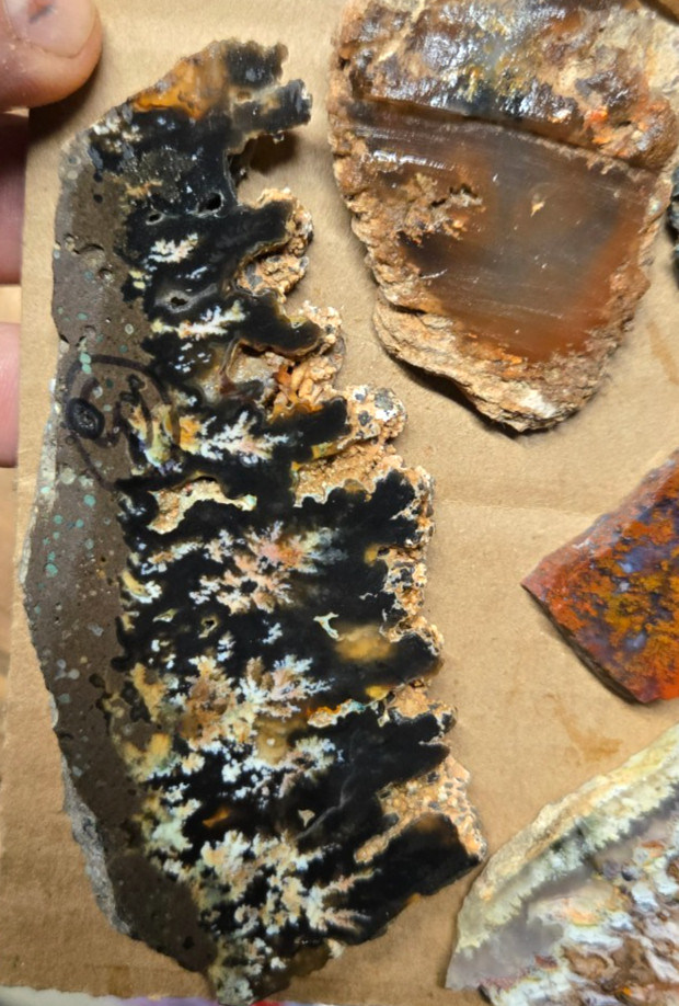 Assorted Plume & Moss Agates, Trimmed Cabochon Slabs Preforms 10 Pcs, Flat 118