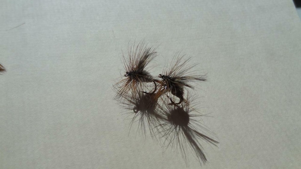 1 DOZ DF-6 IRRESISTABLE (SELECT YOUR SIZE) DRY FLY