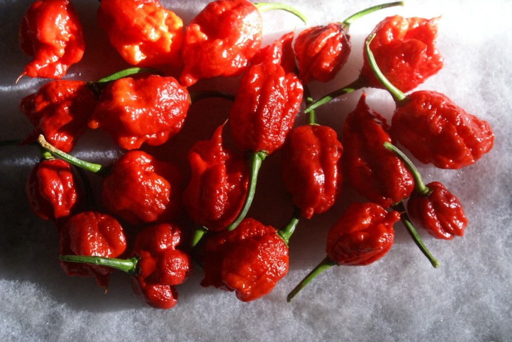 REAPER ROYALE' PEPPER EXTRACT / TWO 1/2 OZ. BOTTLES +"IMPOSSIBLE ORANGE"!