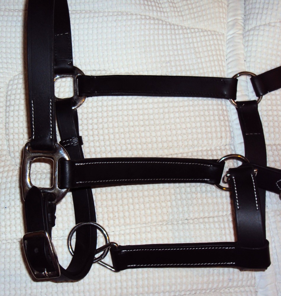 ABETTA Leather BLACK Halter- Silver Hardware/Snap - Adjustable - Full Size - NEW