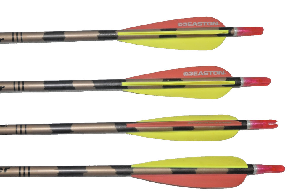 Velocity Design Archery Compound Bow