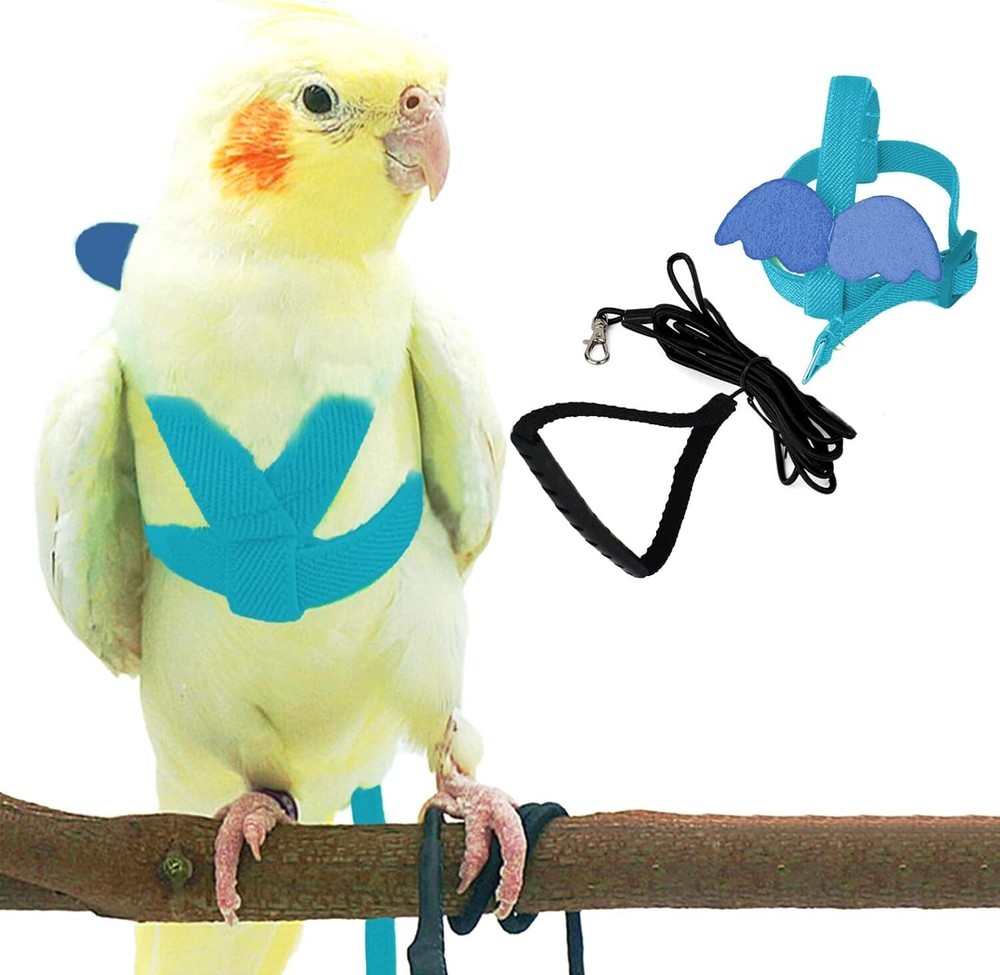 Light Blue Adjustable Bird Harness & Leash for Medium Parrots - Anti-Bite Design