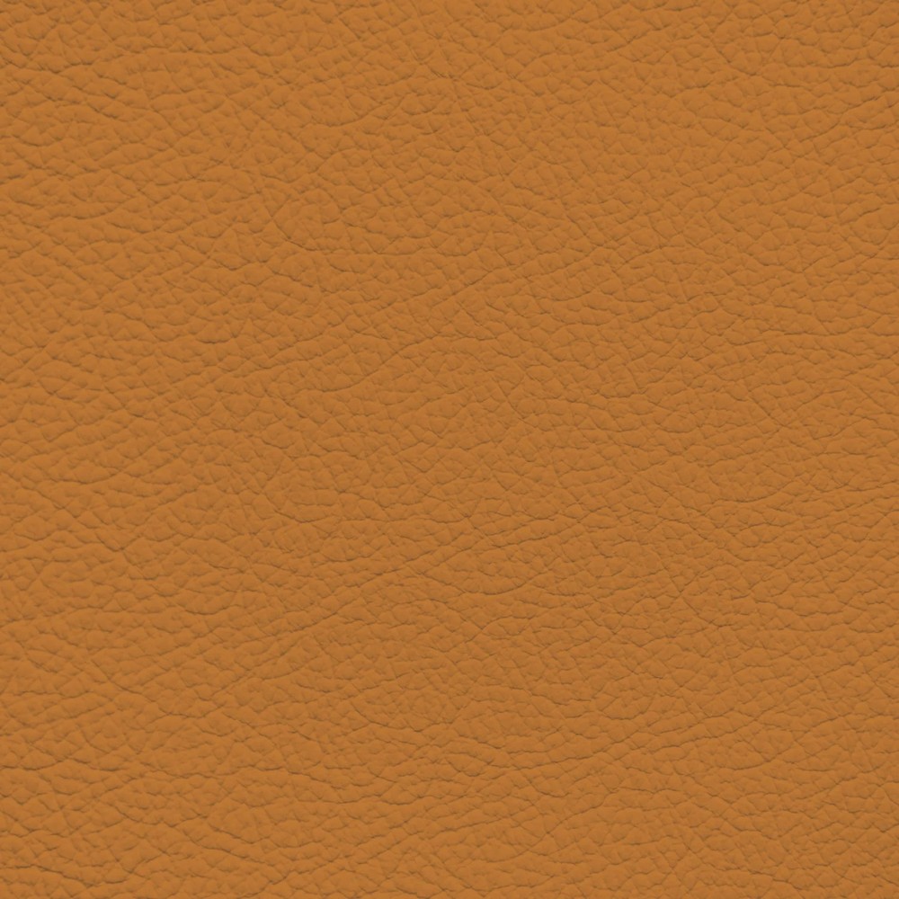 GM Mojave Leather Dye