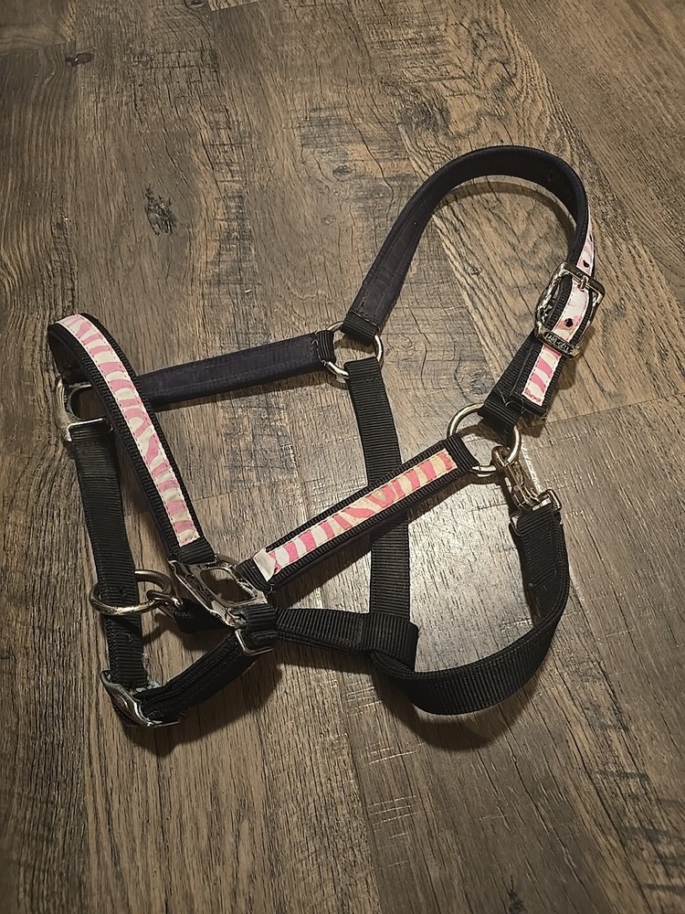 Horse Halter