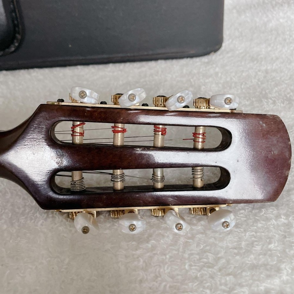 SUZUKI Mandolin M-60 with hard case