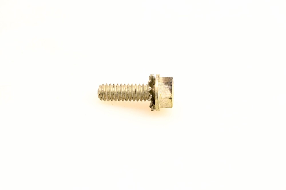 OMC 309924 Screw NOS