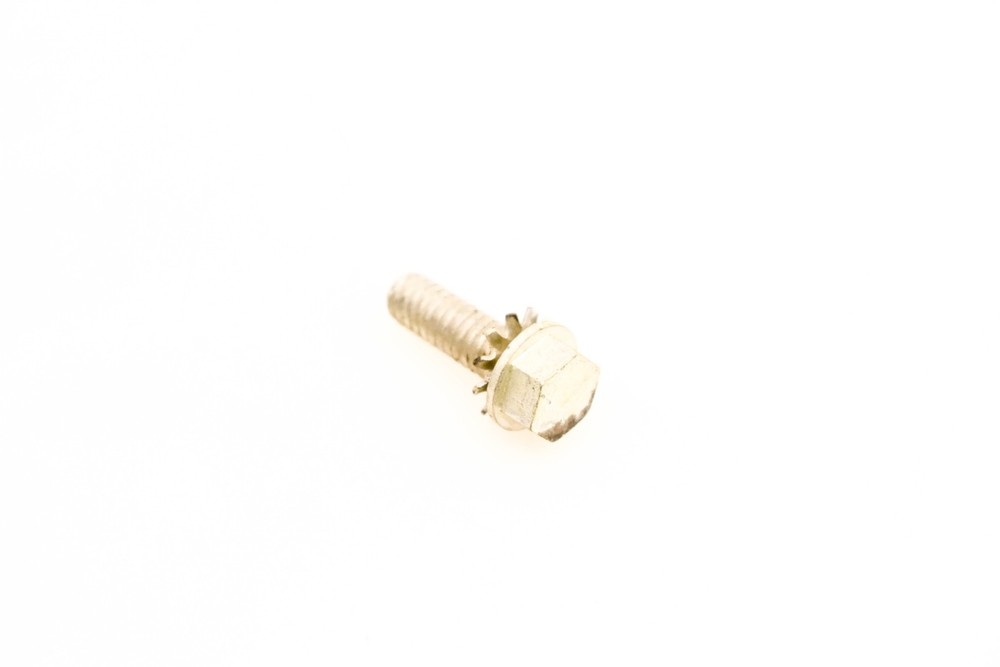 OMC 309924 Screw NOS